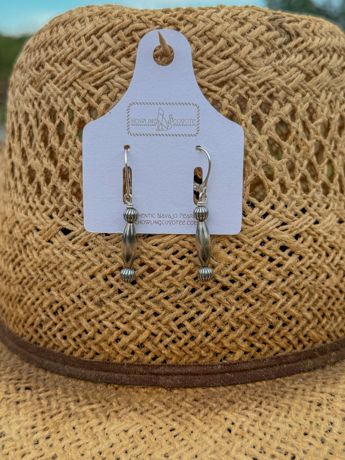 Silver Drop Earrings