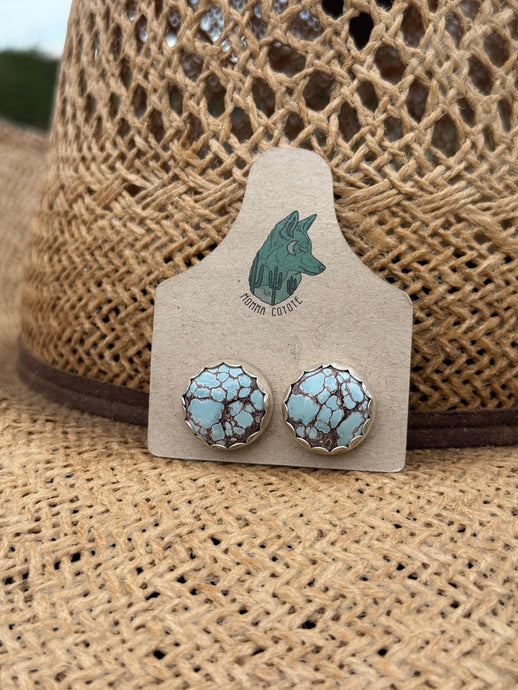 Red River Faustite Turquoise #6
