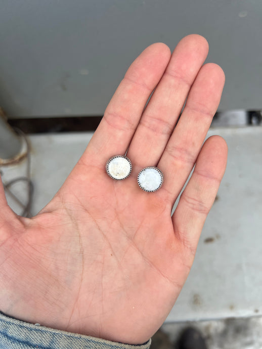 Small White Buffalo Studs