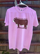 Load image into Gallery viewer, BULL SHIRT- MULTIPLE COLORS