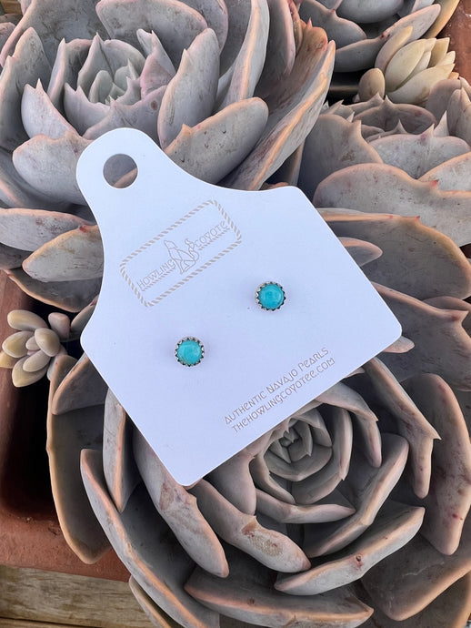 5mm Turquoise Studs