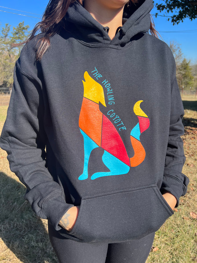 Color Block Logo Sweatshirt