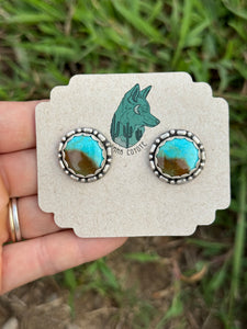 Royston Turquoise Studs AP3