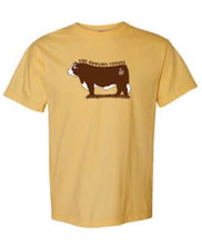 Load image into Gallery viewer, BULL SHIRT- MULTIPLE COLORS-PRE ORDER