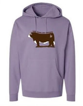 Load image into Gallery viewer, BULL SHIRT- SWEATSHIRT MULTIPLE COLORS PRE-ORDER
